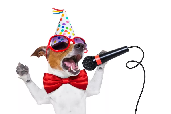 tips on organising a captivating themed party - jack russell dog dressed in party hat sunglasses and bow tie holding a microphone