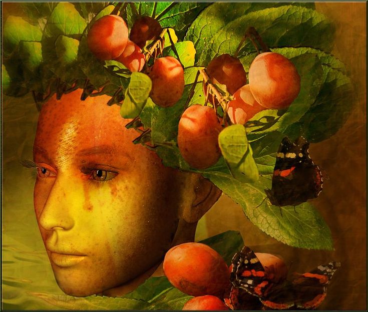 Image of Pomona the goddess of fruit with fruit vines around her head